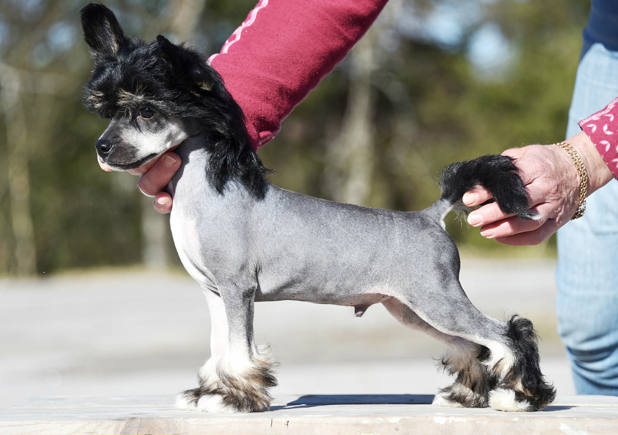 Jean Dark Note To Self