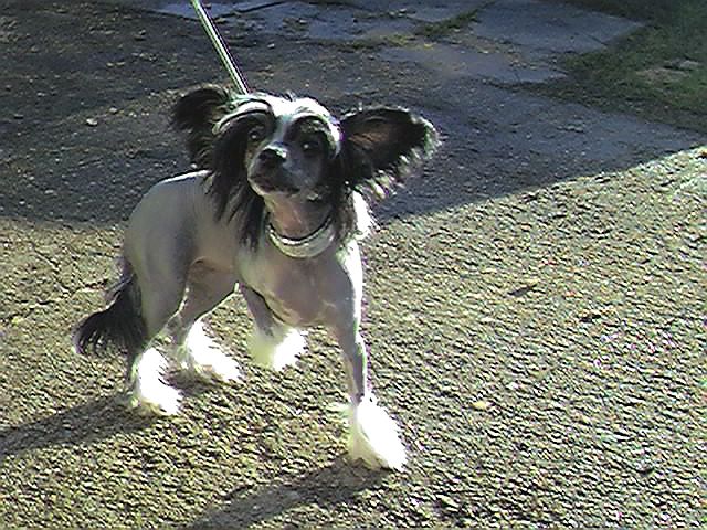 Jhanchi Truth Is Out There