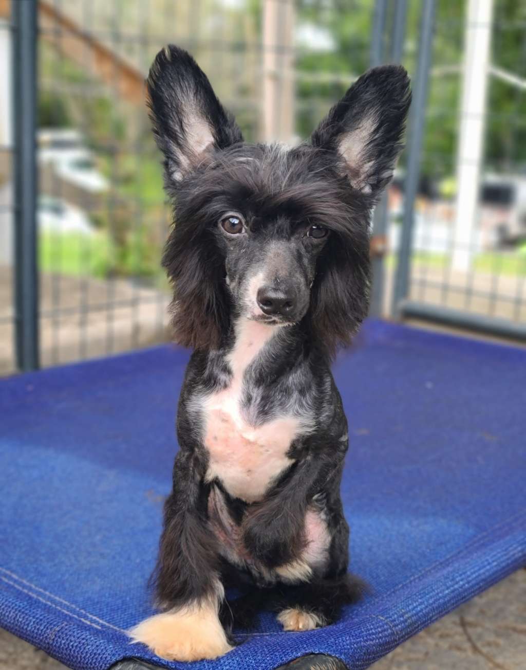 Long Haul's First and Formal Affair