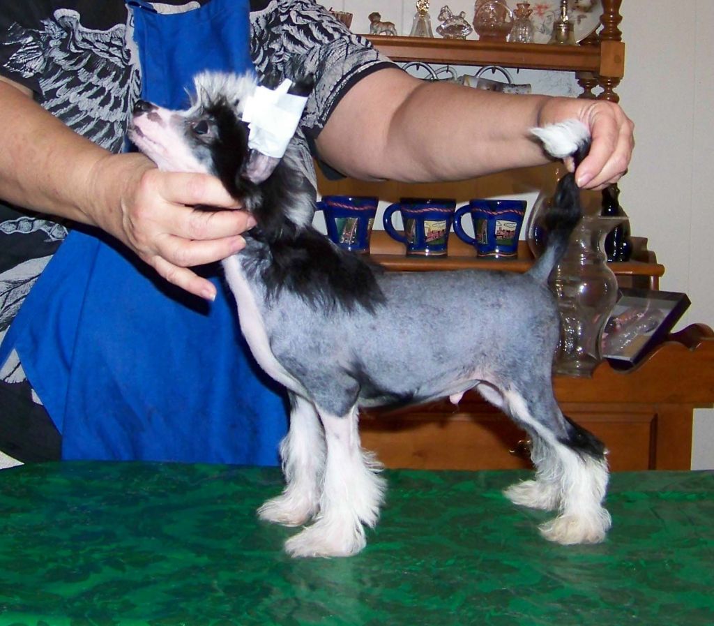 Serenity - Spiritual Bugs Malone