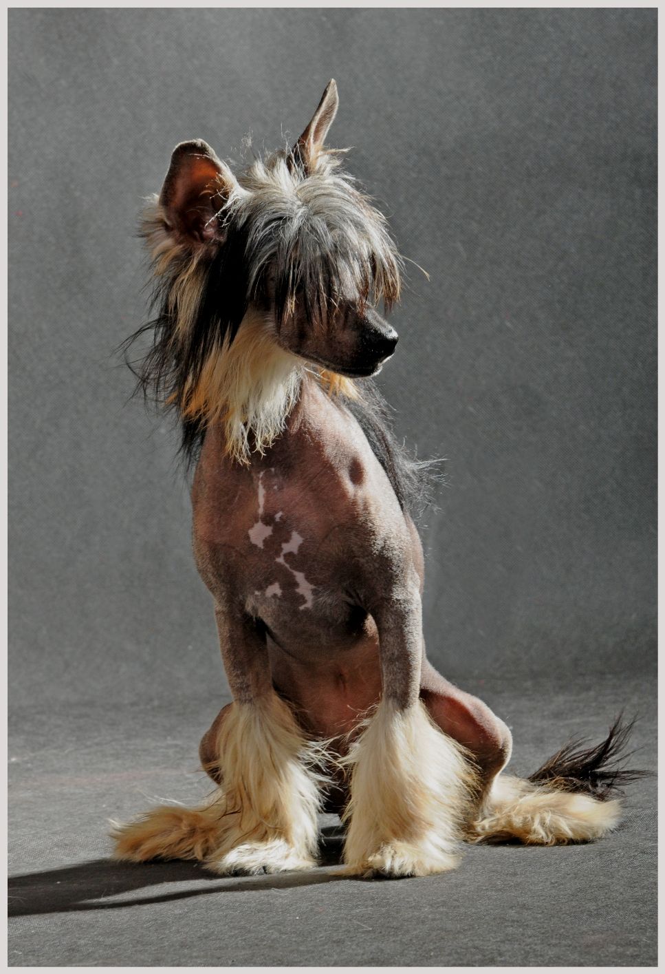 Walenty - Wegielek Pastoral