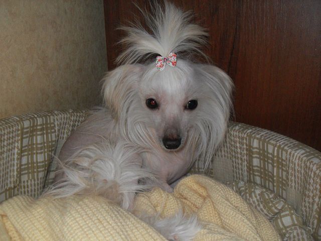 Picture