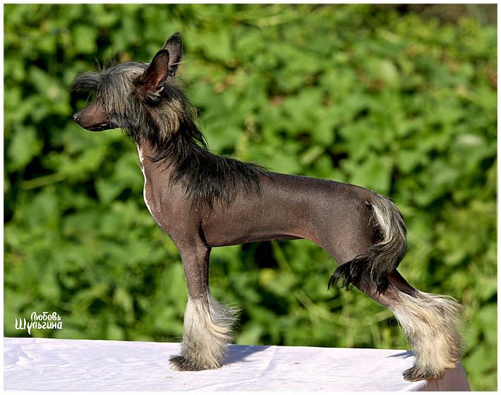 Aura Beauty Night Glow 