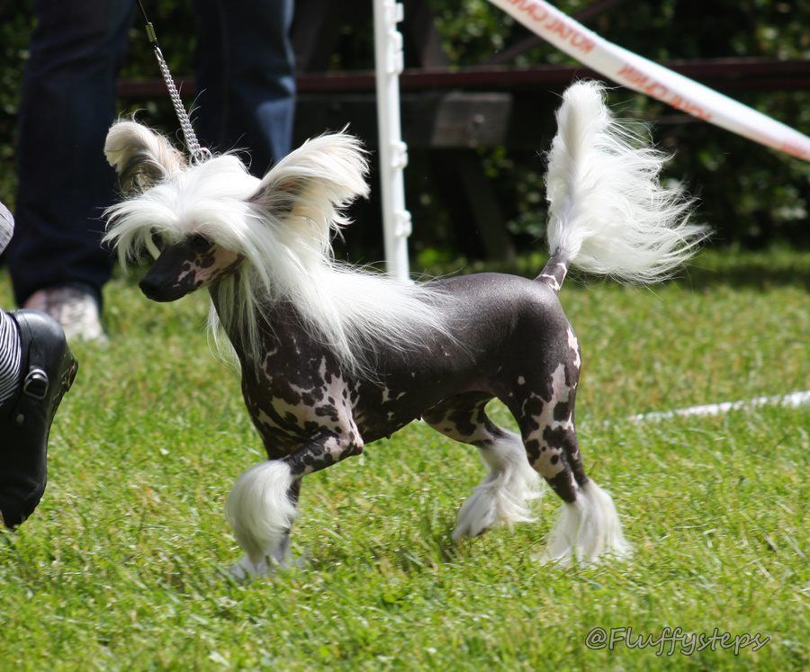 De La Mahafu's DiLove Jennifer