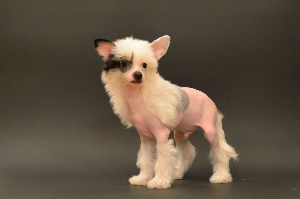 Christian Dior Grace Forever