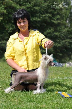 Whispering Lane Printsize Powerhouse