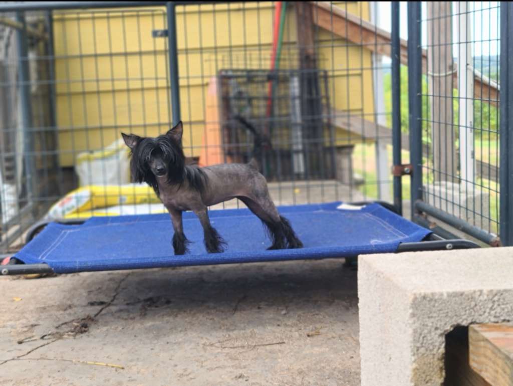 Long Haul's Lady's First Forgotten Divine