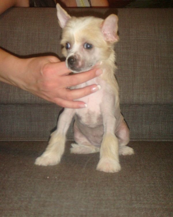 Benedetta Amore Money Stream