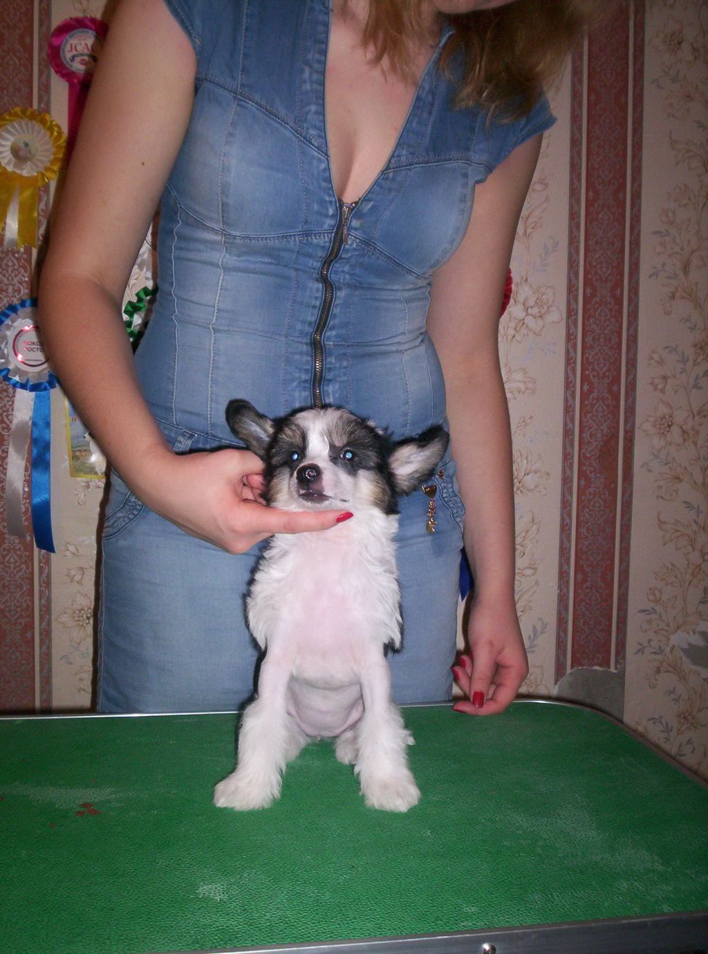 Picture