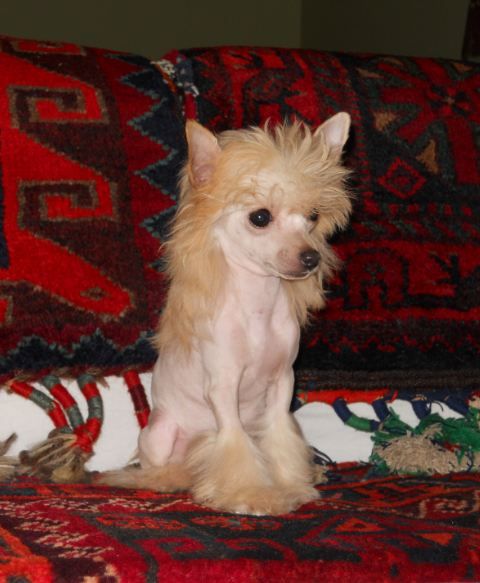 Mythic Perfume and Pearls