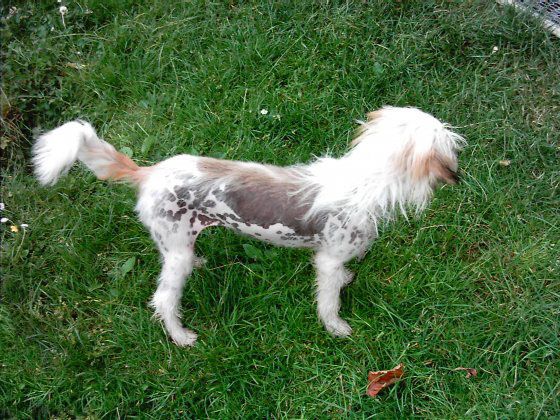 Breath of Chocolate by Change of Heart