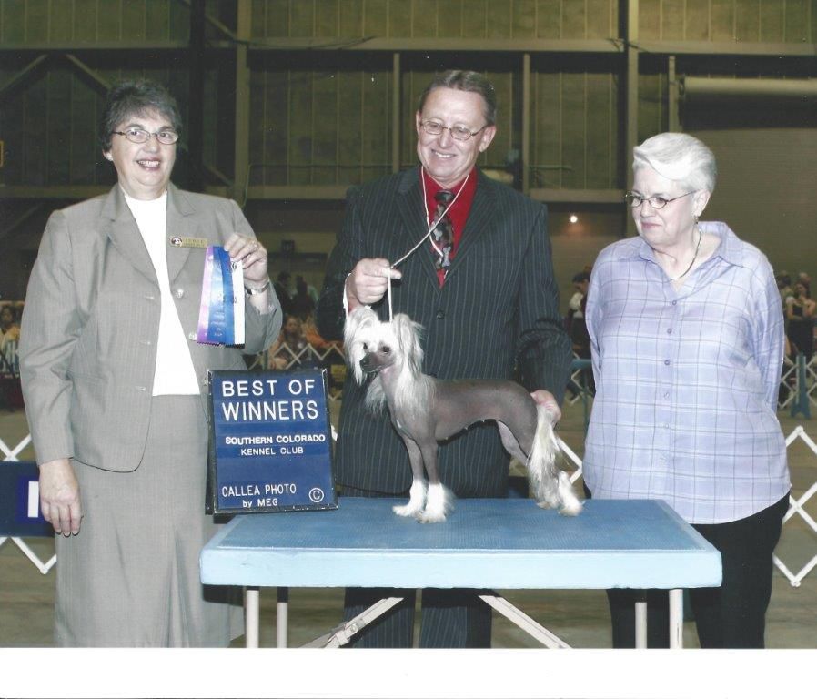 Puffin Legal Addiction