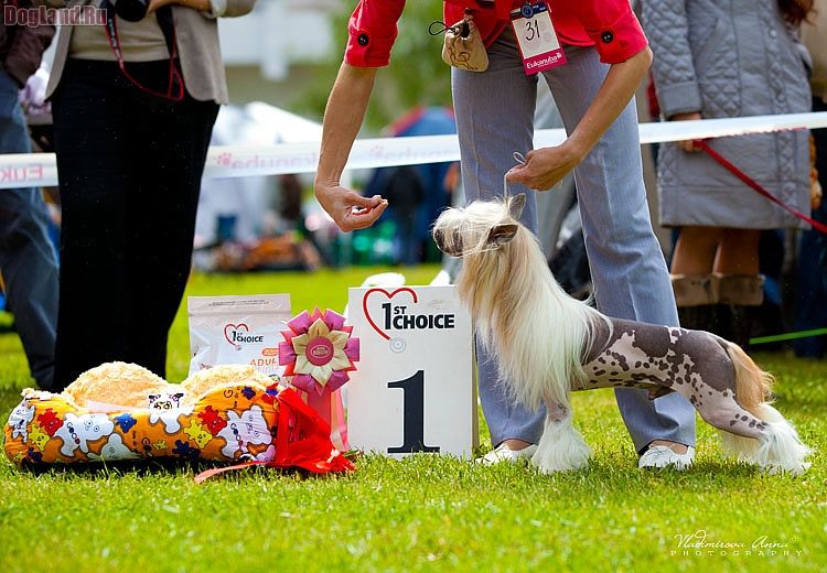 Olegro Katrin Long-Awaited