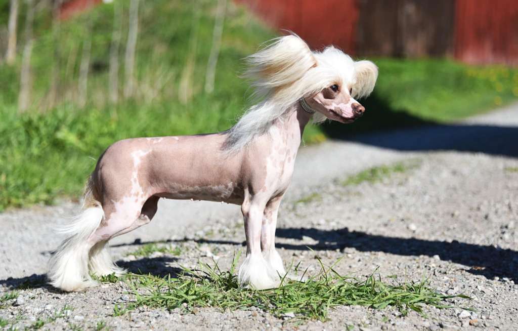 Victory's Laurel Nice To Meet You