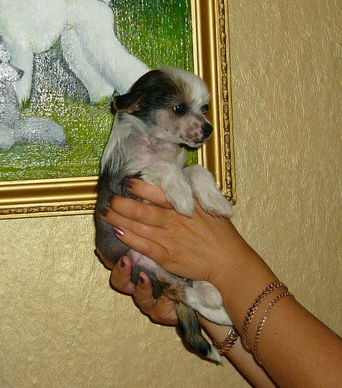 Picture