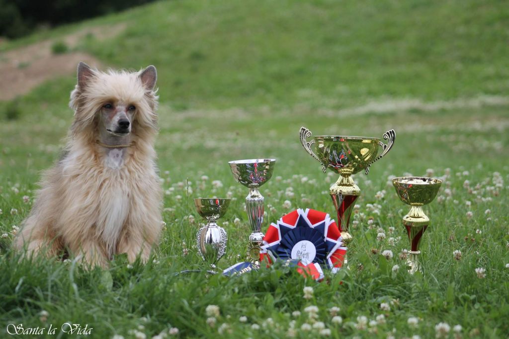 Degen Sebastian Santa la Vida