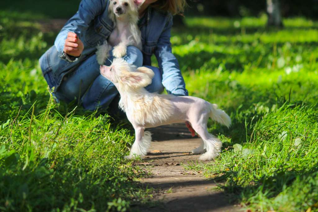 luniks Stail Doll To All