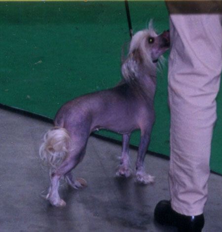 Di Gabriellas Quinta