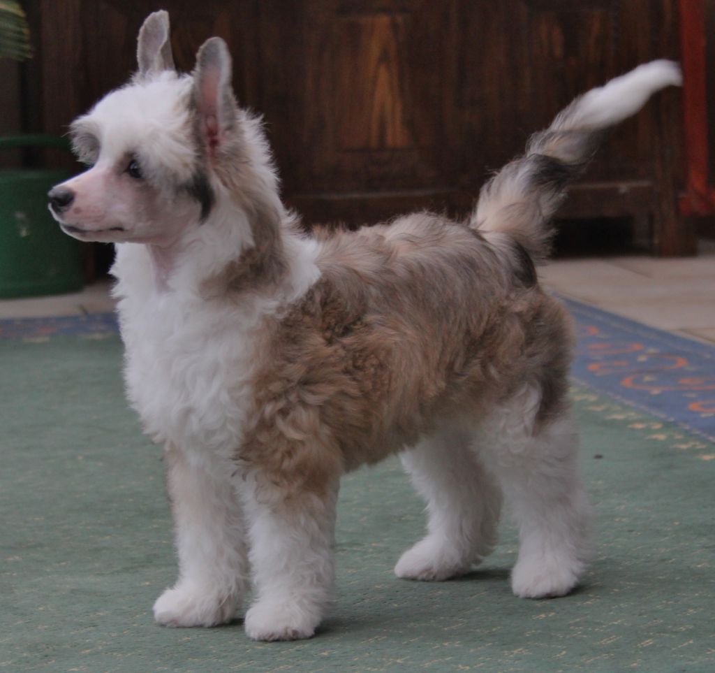 Dresscode-Zero Mister Lazy Sunday