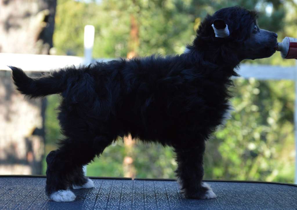 Kaitlin Young Quarantine Clean