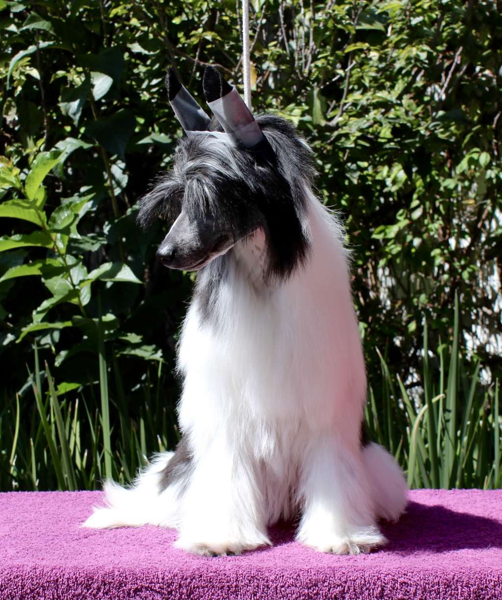 Odette Glossy Kisses (Cantarell)