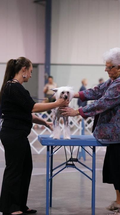 Koridawn's Tank You Very Much