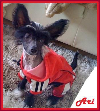 Ariana Little Sweetie