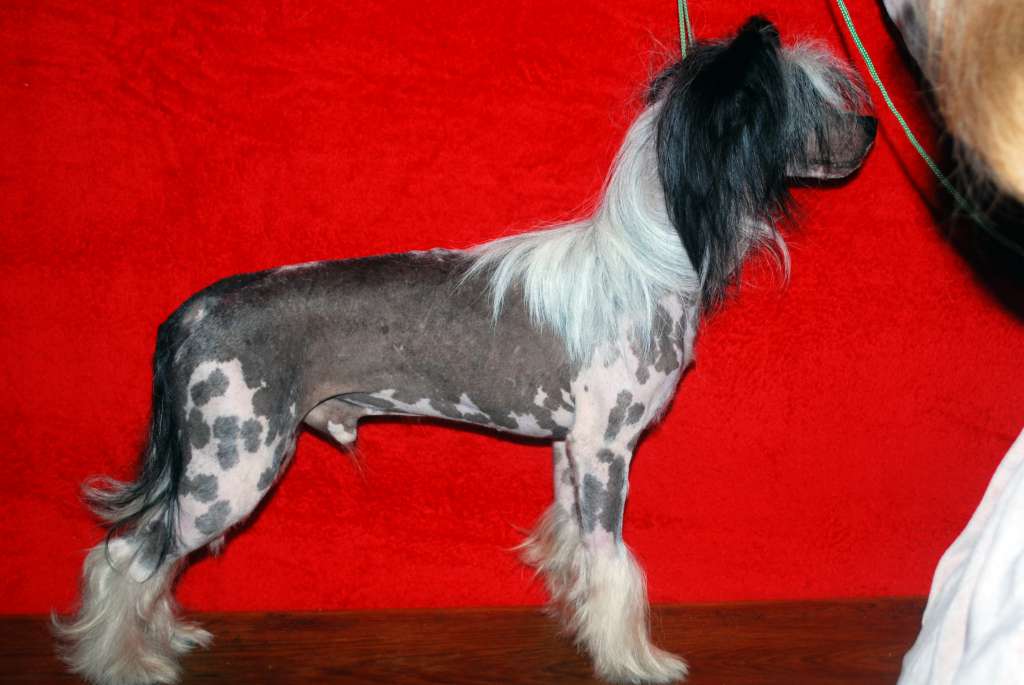 Banzai Attack Epocha