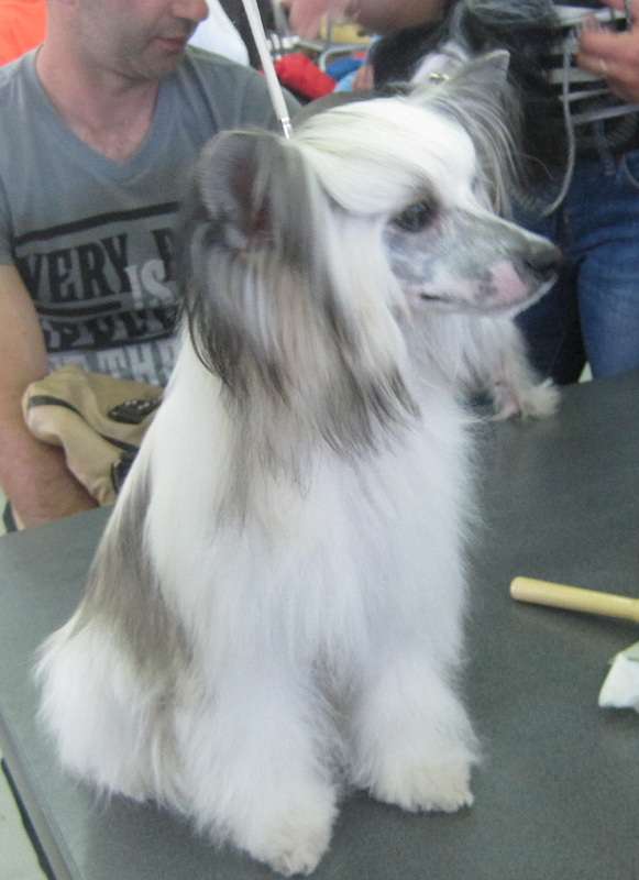 Tumen'Hills Isabel Child Maya