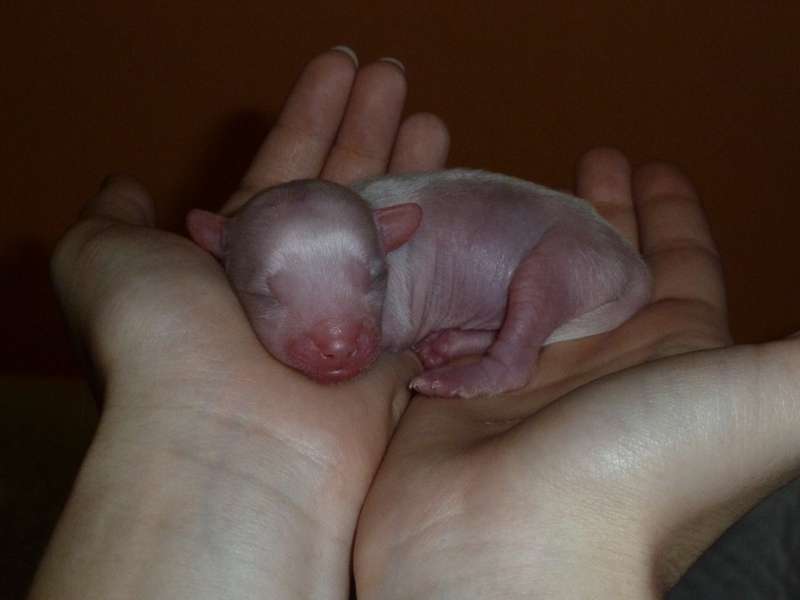 Picture