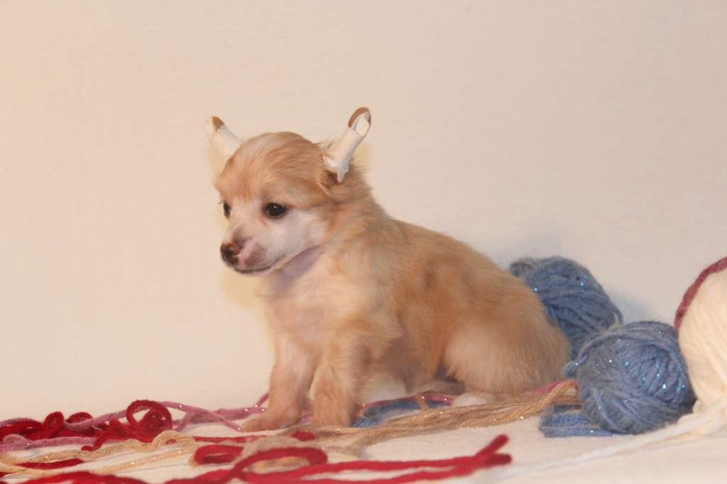 Davina iL Senso Della Mia Vita