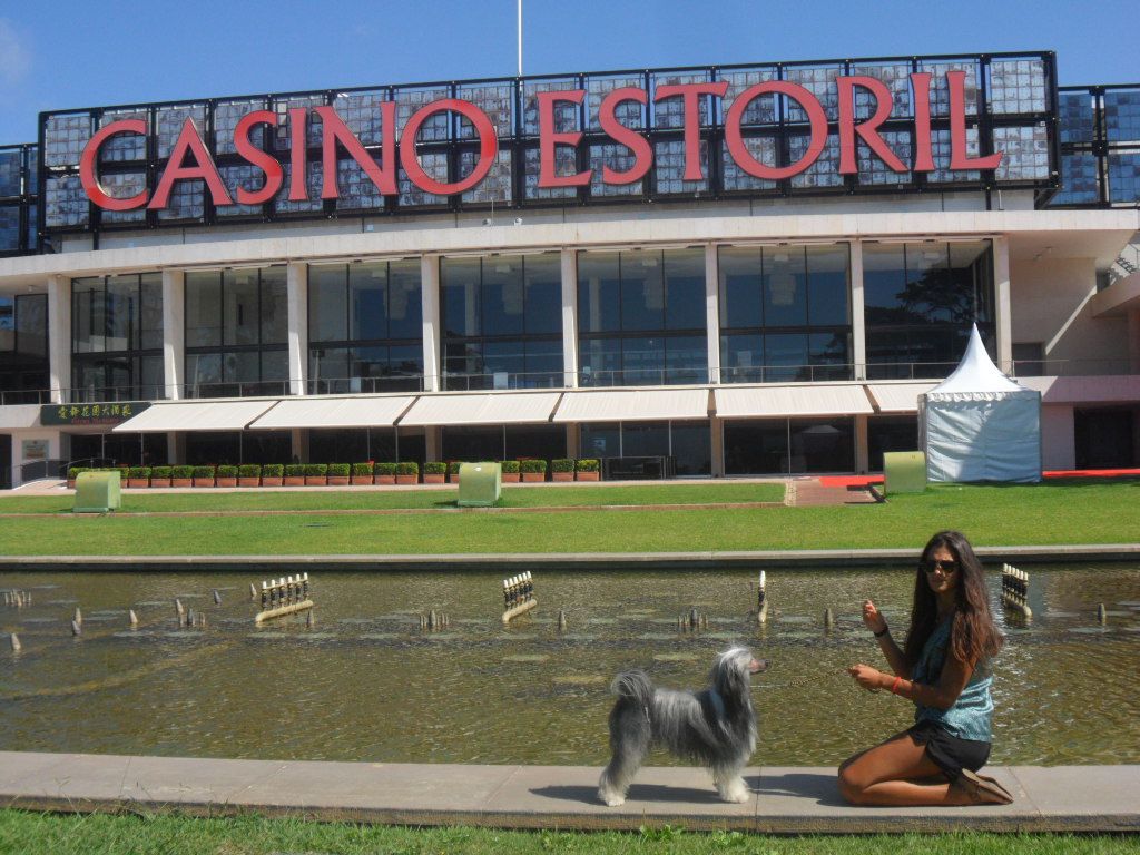 Estevao das Sete Quintas