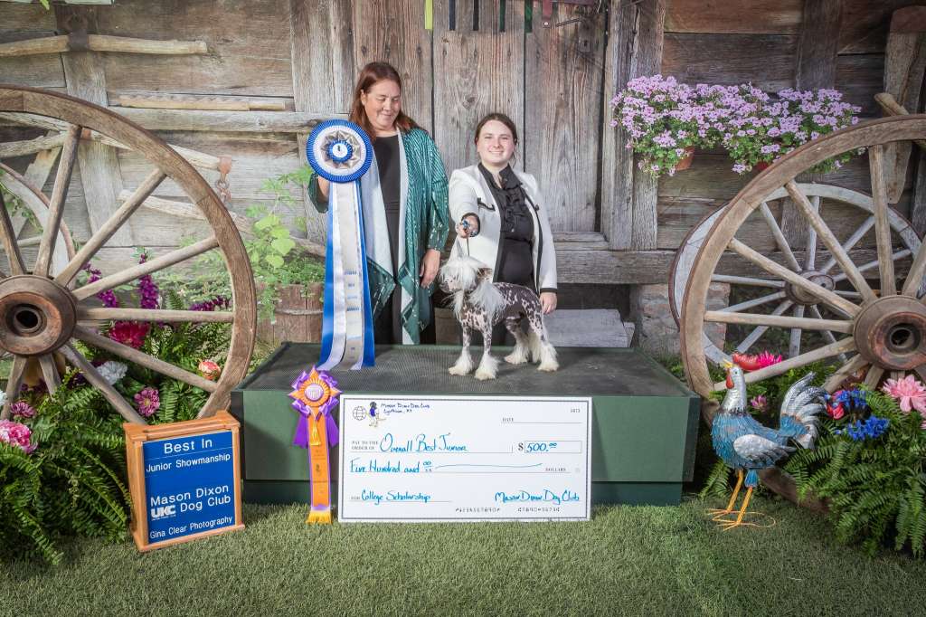 Never Dneprovskoe Solntse