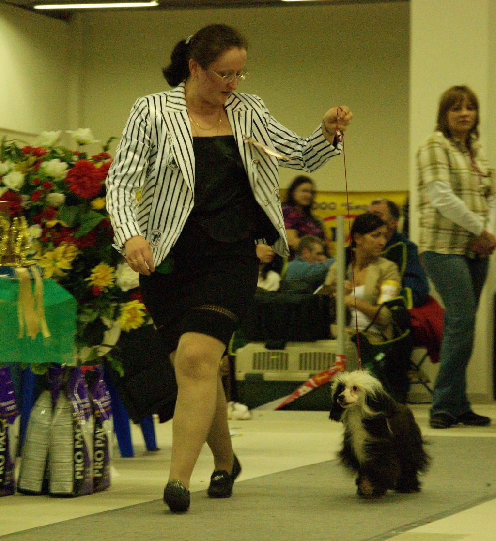 Opus Palmare Milagross