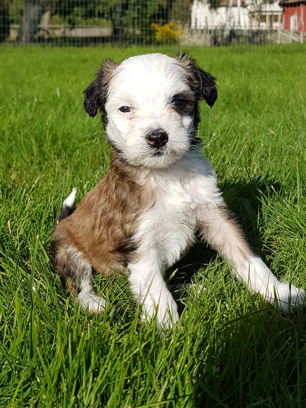 Tiliahill Take A Chance On Me