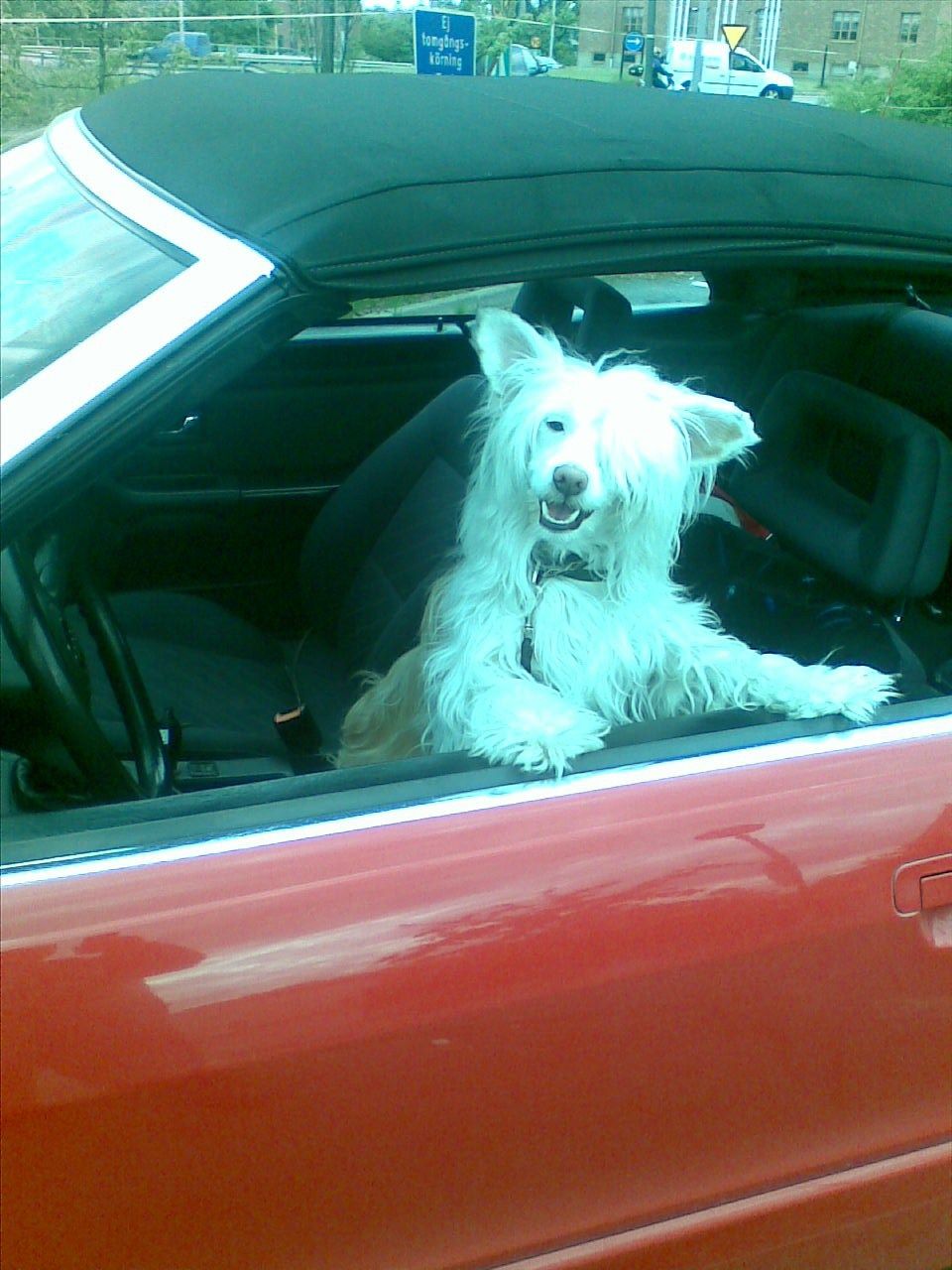 Ridgecrest's White As Snow