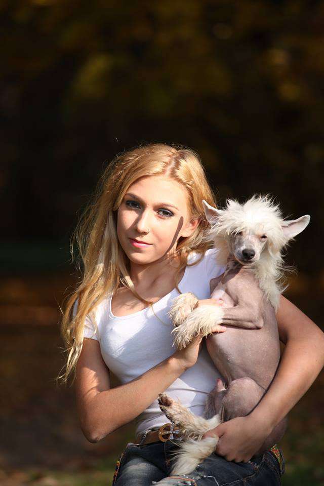 Picture