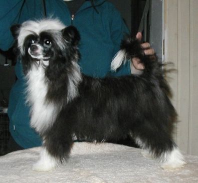 Picture
