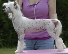 Marquis Dancing Naked Thru Eden HL