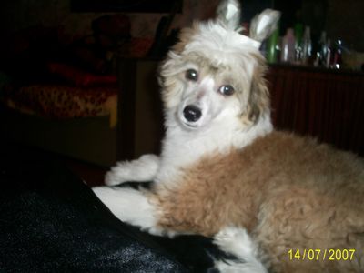 Picture