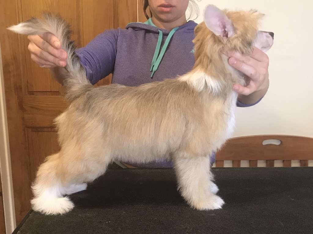 Taja head over heels