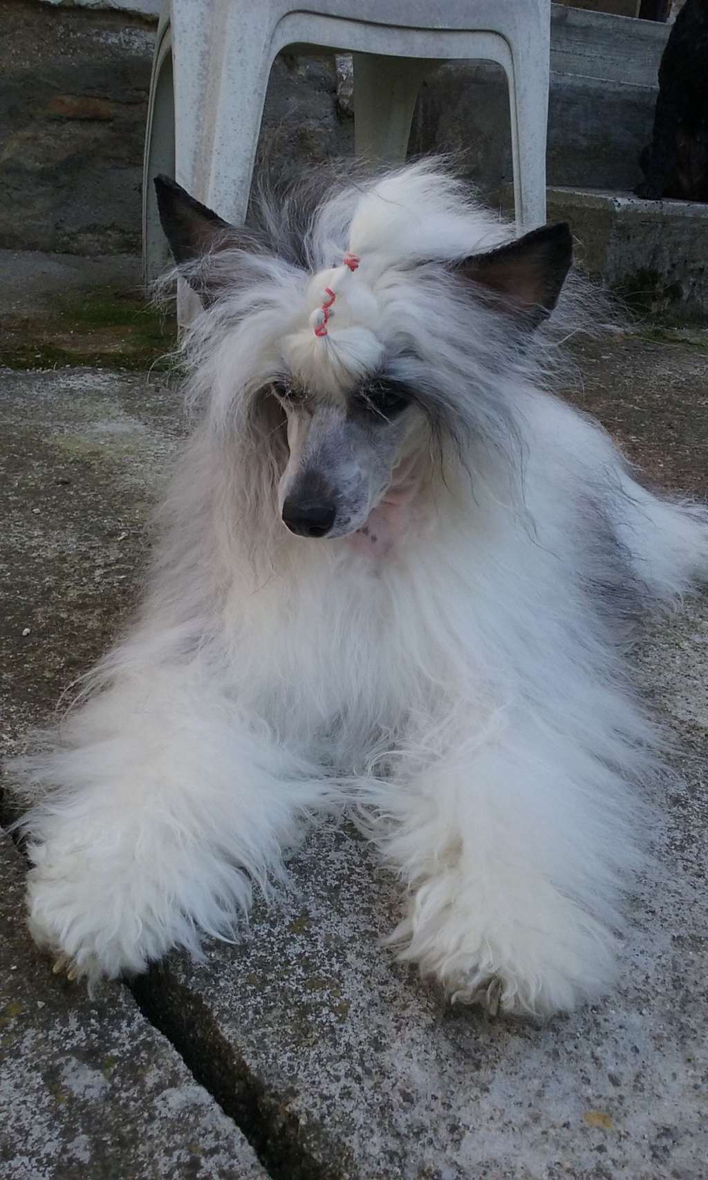 Marica Love z Jasne hvezdy