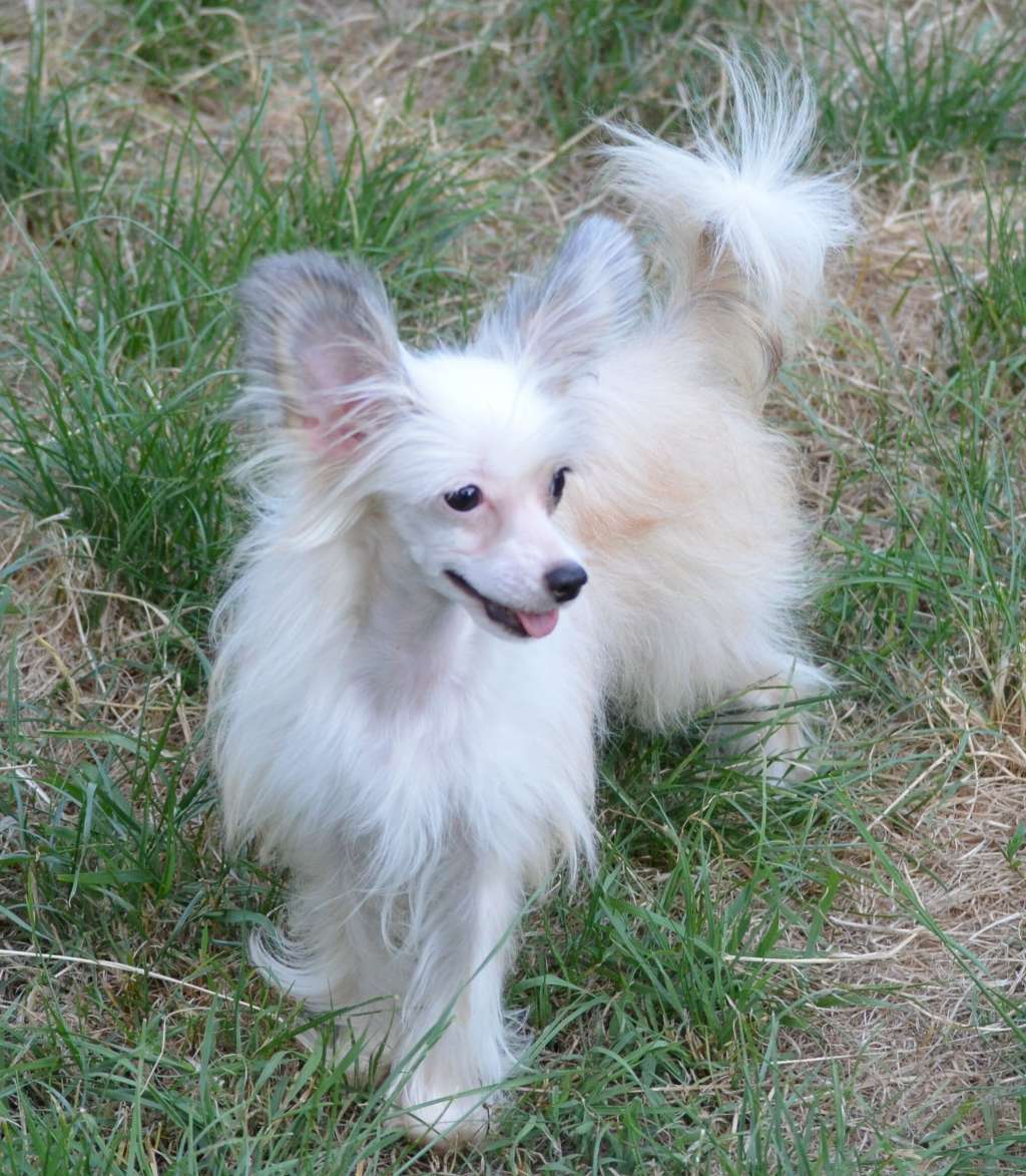 Magic of Success Emilia