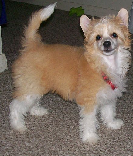 Jewels Leave A Light On