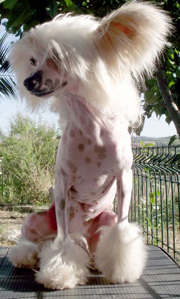 Picture