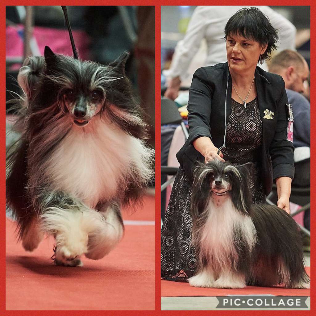 Desireme When Doves Cry