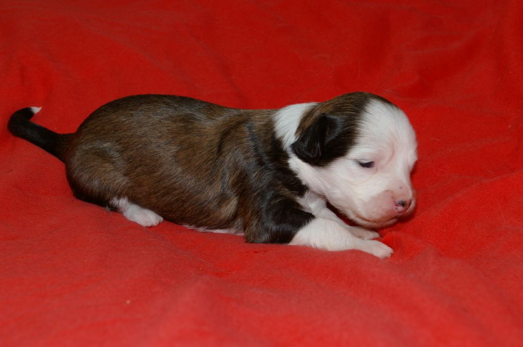 Picture