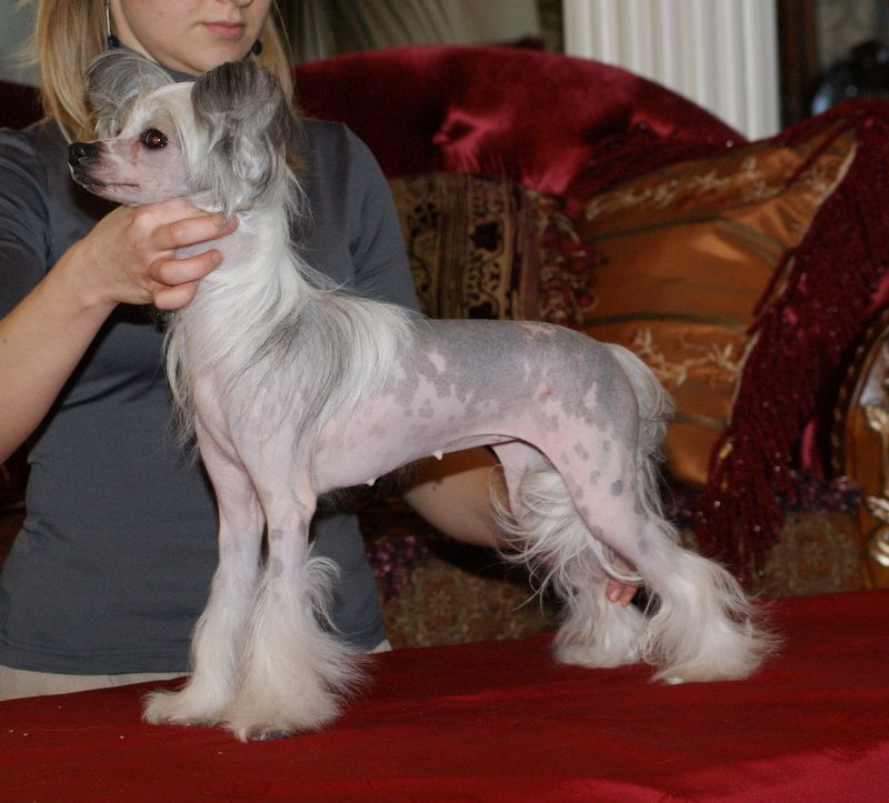 Kissed Beauty Epocha