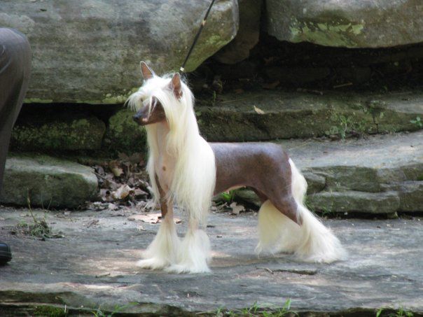 Whispering Lane Back Seat Betty