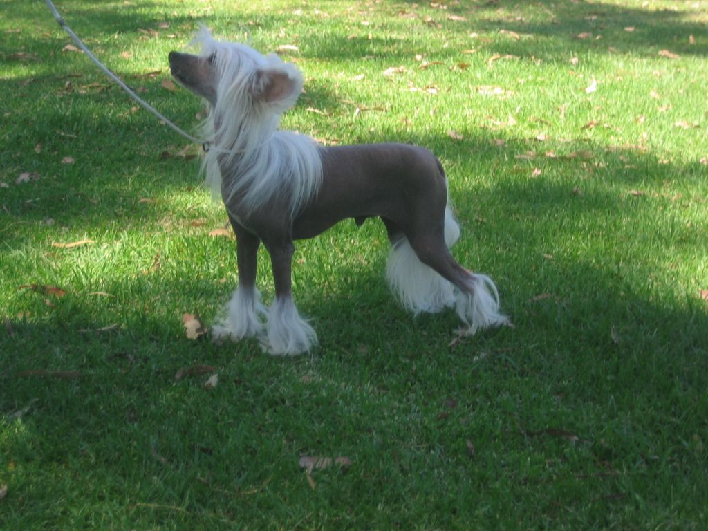 Wumao Quinn The Eskimo